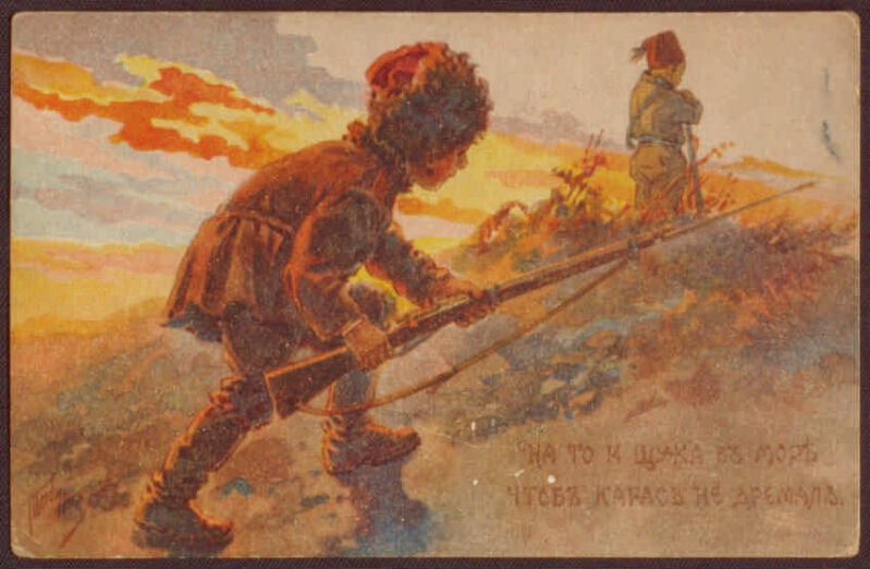 На то и щука в море, чтоб карась не дремал | Президентская библиотека ...