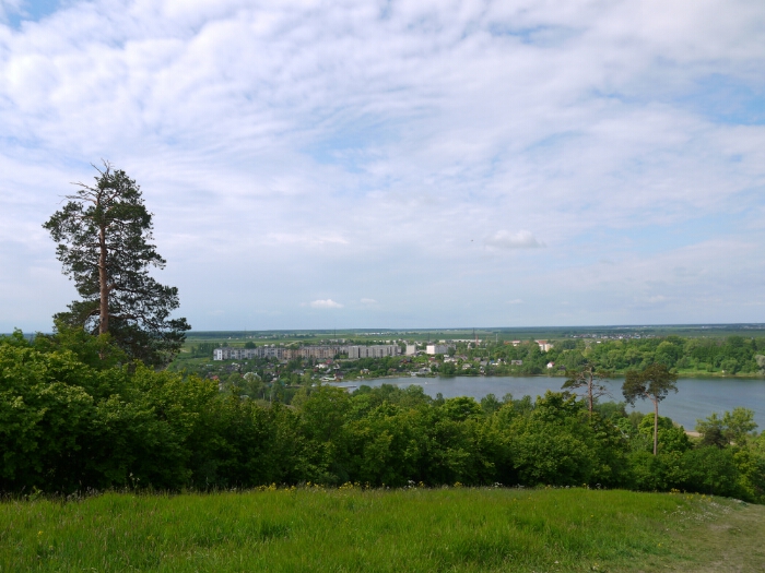 Г Красное Село Фото